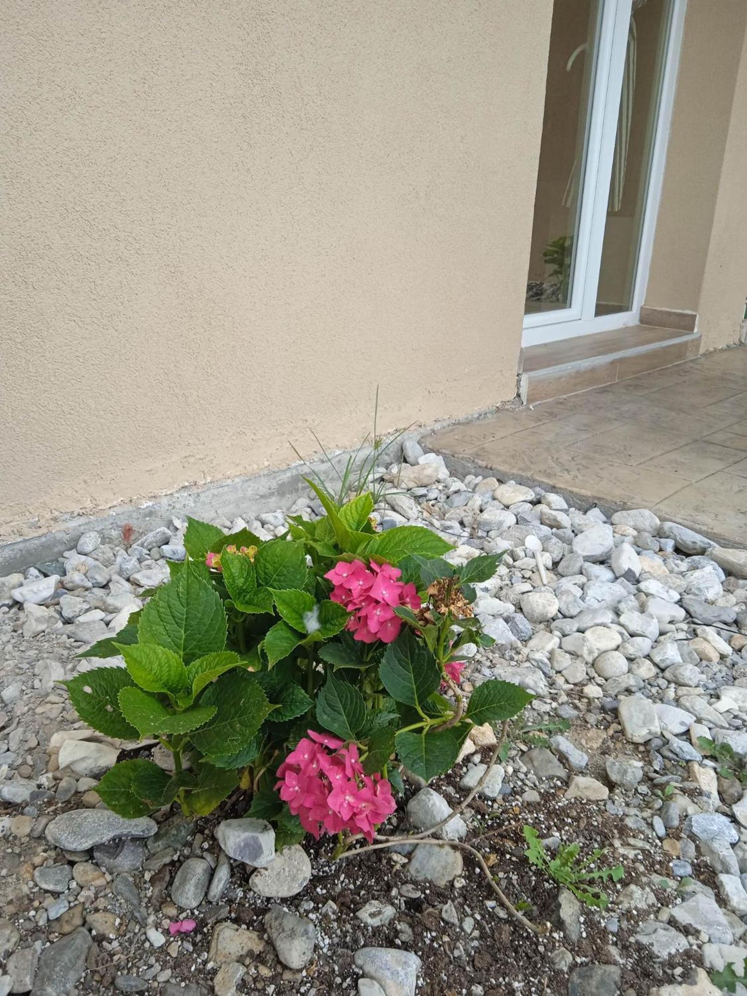 Sylias Village Skala Korinou Bagian luar foto